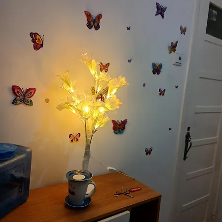 Apartman Rua Forno Do Tijolo